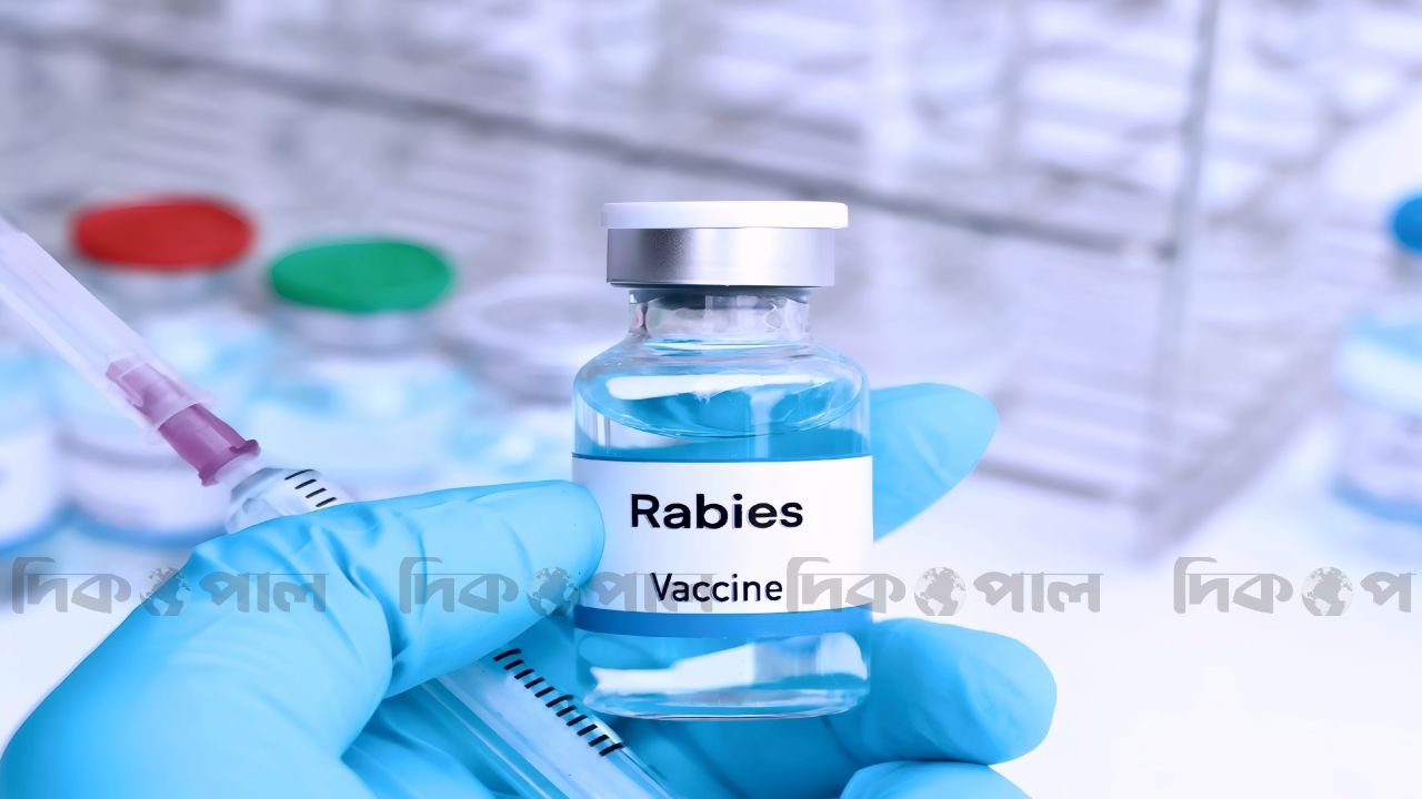 জলাতঙ্কের টিকার আকাল মরণব্যাধির ঝুঁকিতে হাজারো মানুষ!