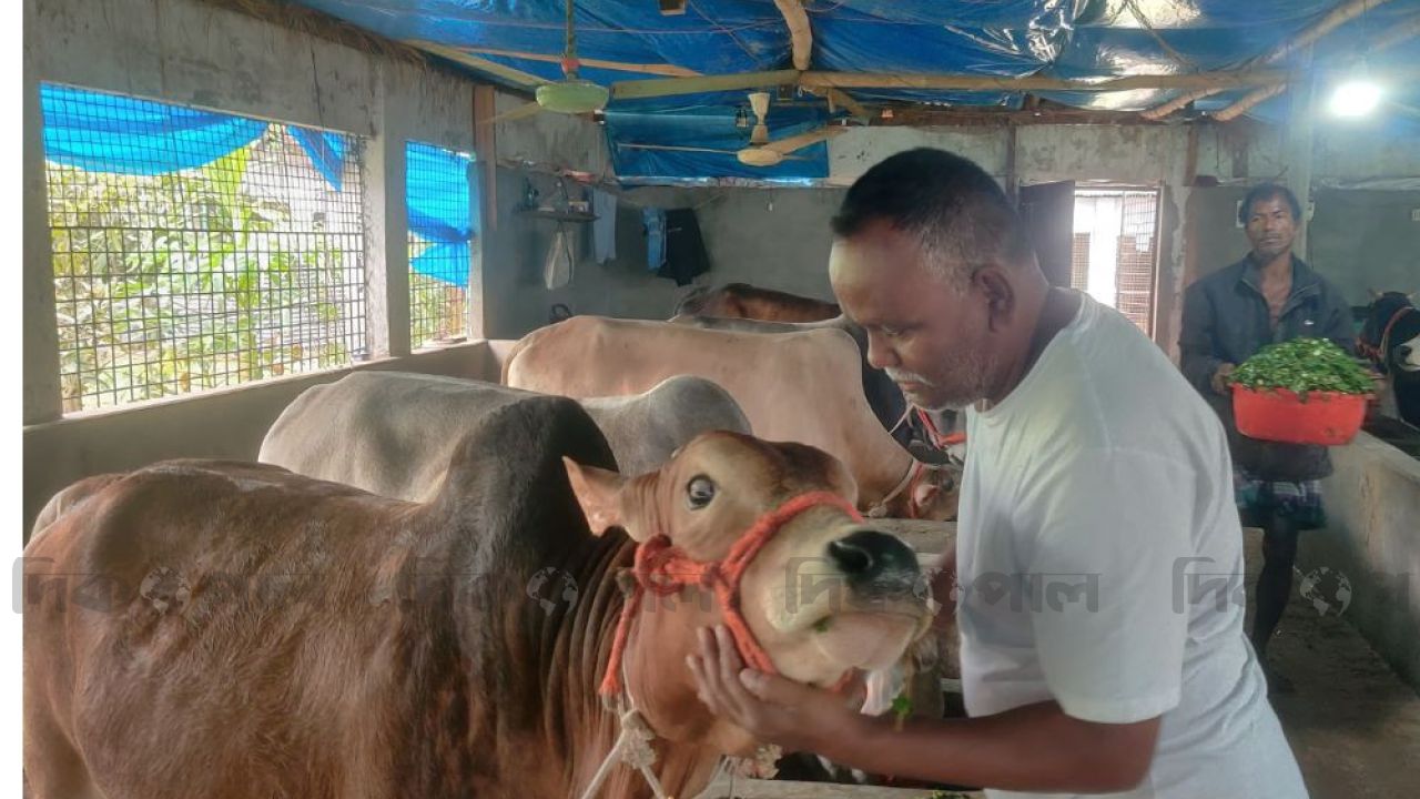 কোরবানির পশুতে স্বয়ংসম্পূর্ণ সীমান্ত পাহারায় জিরো টলারেন্স