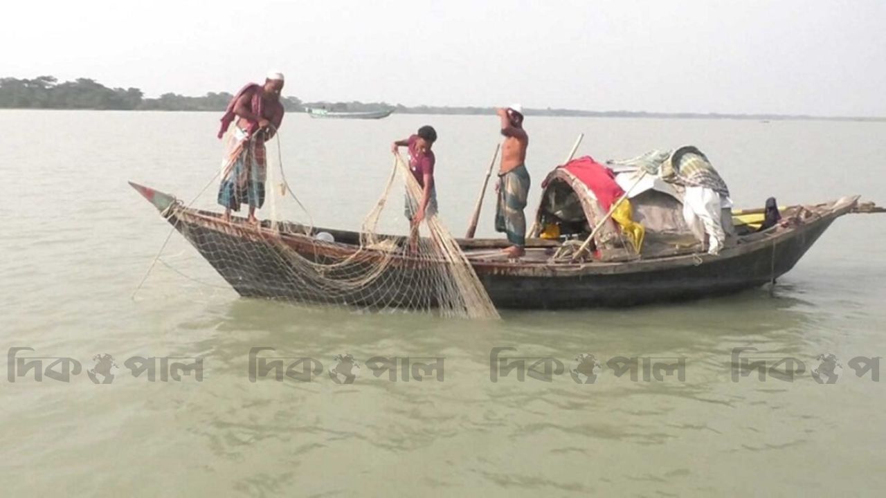 ভরা মৌসুমেও জালে নেই ইলিশ, দুশ্চিন্তায় জেলেরা
